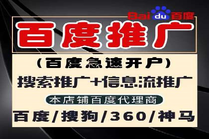 案例深度解读：SEM网络推广如何助力企业转型